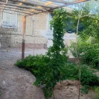 خانه باغ احمد آباد چهل گزی