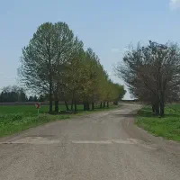 زمین با سند تک برگ