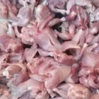 ارزانترین تعاونی غذای سگ وگربه جهان مرغ پاکشده