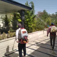 باغبانی سمپاشی پردیس رودهن مهرآباددماوندسراسرپردیس