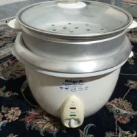 پلوپزبرقی