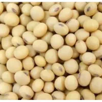 بذر سویا گواهی شده