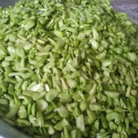 مواد غذایی