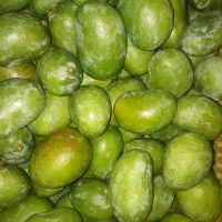 انبه سبز بی هسته رودان