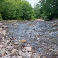 اجاره ویلا جنگلی دربست جای امن