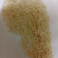 ده تن برنج ندا گرگان