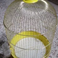 قفس پرنده