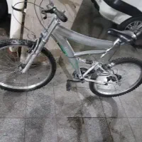 شخصی دوچرخه