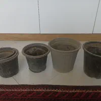 گلدان