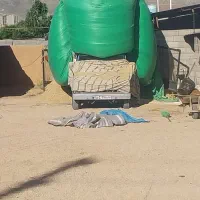 کاه گندم جو سفید تحویل شیراز وحومه