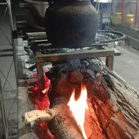 شراکت با همکاری خانم وارد به آشپزی یا کباب