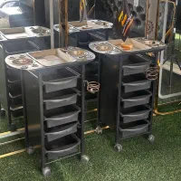 ترولی فلزی کاسه‌دار متحرک مجموعه زرکالا مدل 2