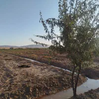 فروش-باغ