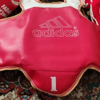 هوگو