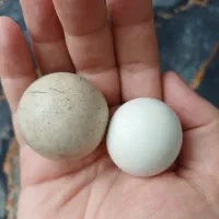 سنگ الماس آسیاب