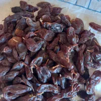 کشمش افتابی