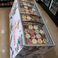 فریزر ۶۰۰بستنی