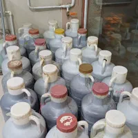 سیر ترشی 7 ساله