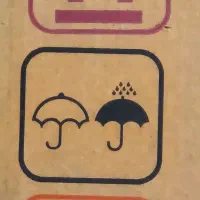رنگ پودری