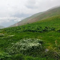 تور ،ماشین در اختیار