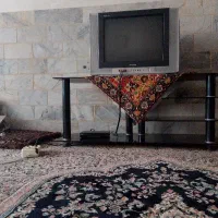 سویت مبله