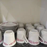 فنجون و نعلبکی