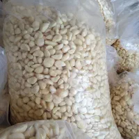 سیر حبه خشک‌ پوست کنده و با پوست