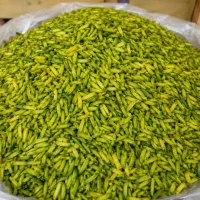 فروش ویژه خلال پسته، بادام درختی و زمینی