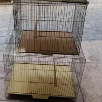 قفس پرنده