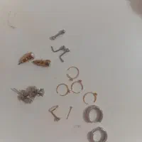 پرسینگ گوش و بینی