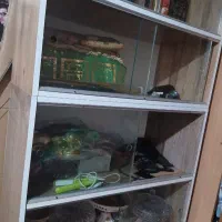 کتابخانه یا ویترین