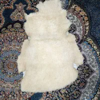 خز روصندلی خارجی اصل