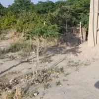 زمین با موقعیت باغچه