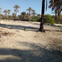 زمین ویلا باغ
