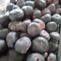 انجیرسیاه