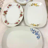 دیس پلوخوری ، سالم و تمیز