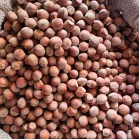 فندق|خوردنی و آشامیدنی|اسکو, |دیوار