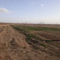 باغ