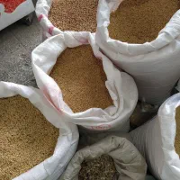حبوبات خوشکبار