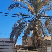 خانه-ویلایی-160-متربا-مغازه