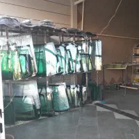 فروش ونصب انواع شیشه اتومبیل علی اصغر ملکی
