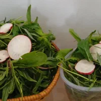 سبزی مارکت دستچین