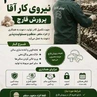 استخدام در مزرعه قارچ
