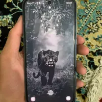 سامسونگ A55 رم 12 با حافظه۲۵۶