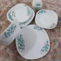 سرویس ارکوپال نو