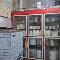 همکارخانم برای کار در لبنیات