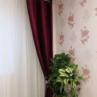 پرده