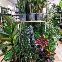گلسرای مریم بانو بار جدید رسید
