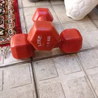 دمبل