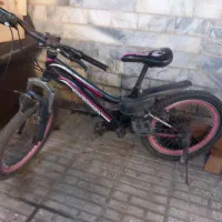 دوچرخه سالم دخترانه دنده ای